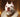 Custom Pet Portraits: Turn Your Pet's Photo Into Art