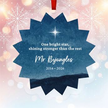 Personalized pet memorial star-shaped acrylic ornament with a hand-painted starry night sky and bright guiding star, engraved with the pet's name and dates