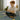 Child playing with a toy dinosaur on a colorful rug