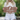 Personalized Horse Farm Name Metal Sign